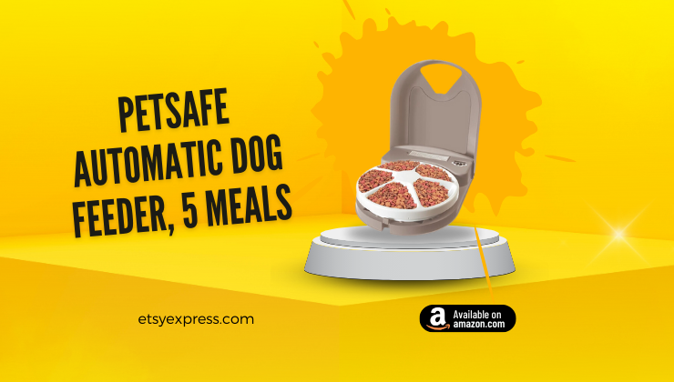 PetSafe Automatic Dog Feeder, 5 Meals