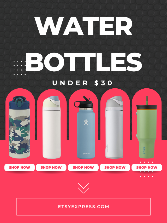 5 Best insulated water bottles under $30 for 2024