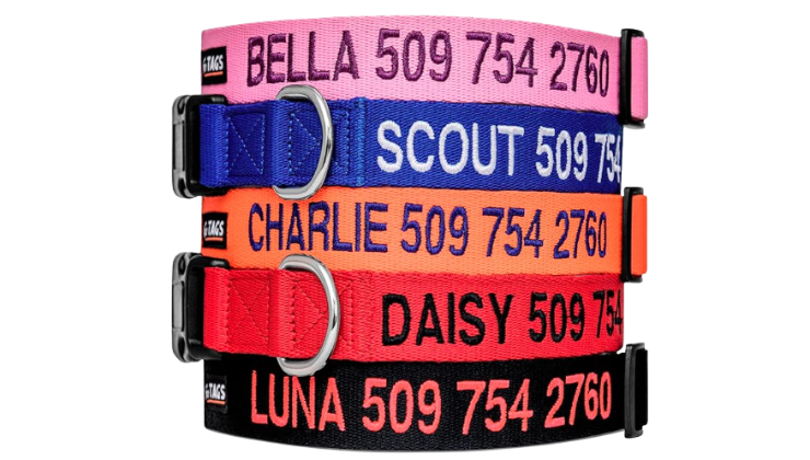 GoTags Personalized Dog Collar