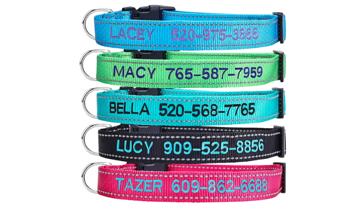 Personalized Dog Collar